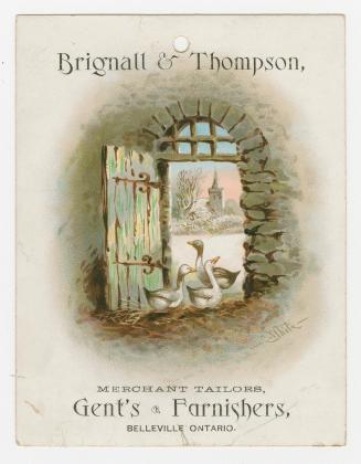  Colour card advertisement. Front of card depicts an illustration of three white swans in a doo ...