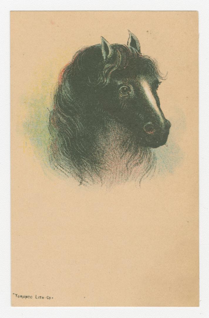 Colour card advertisement. Front of card depicts an illustration of the head of a black and whi ...
