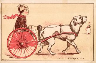 Colour-card advertisement depicting an illustration of a boy on a cart being pulled by a big do ...
