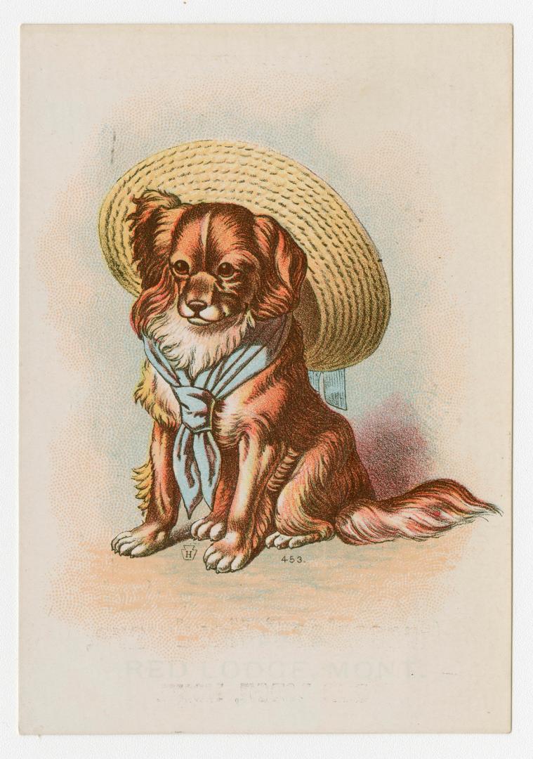 Colour card advertisement depicting an illustration of a dog with a blue scarf and big hat. The ...