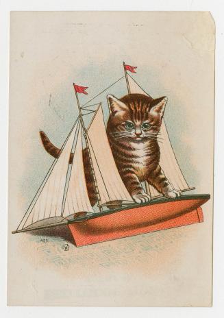 Colour card advertisement depicting an illustration of a big kitten on a toy sailboat. The back ...