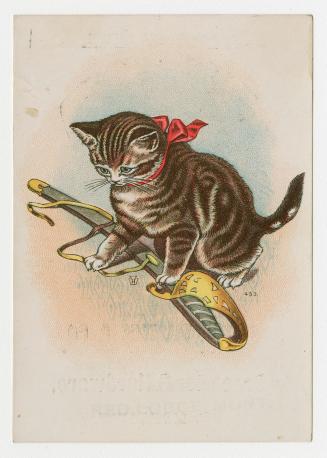Colour card advertisement depicting an illustration of a kitten playing with a sword. The back  ...