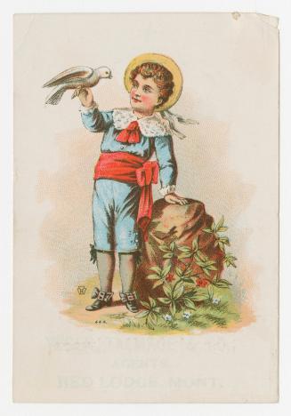 Colour card advertisement depicting an illustration of a boy with a bird on his finger. The bac ...