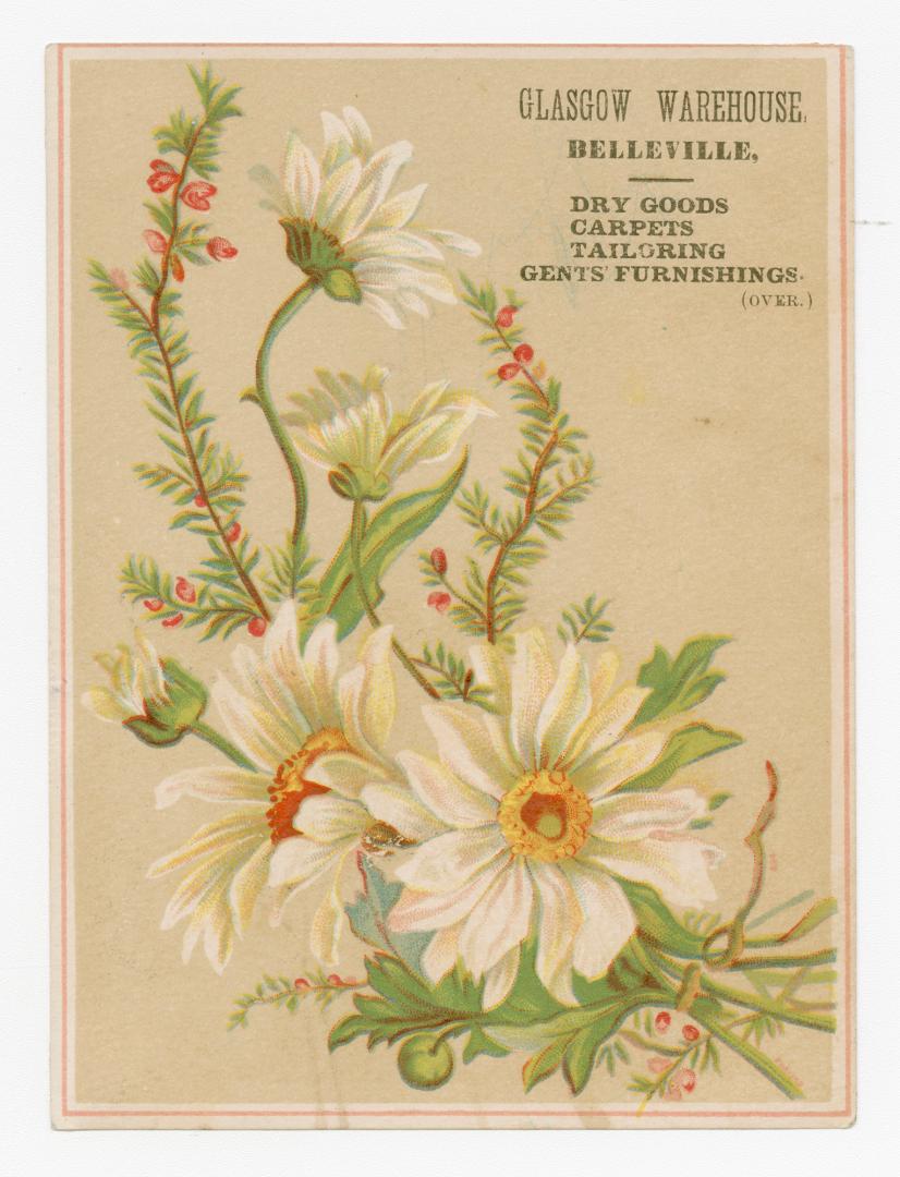 Colour trade card depicting a bloom of daisies and holly, with text stating, "Glasgow Warehouse ...
