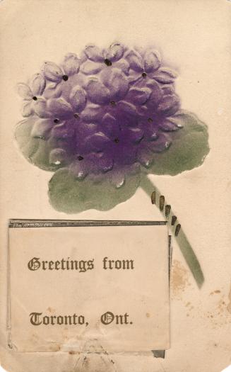 Drawing of a blue hydrangea. Accordion pull-out of small black and white photographs of attract ...