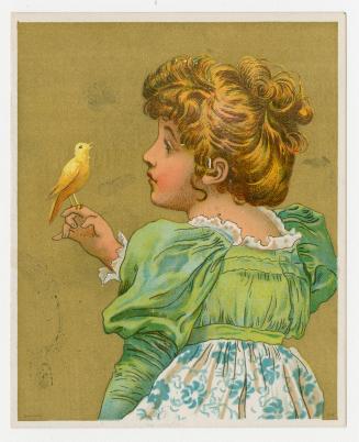 Colour trade card advertisement depicting an illustration of a girl looking at a yellow bird th ...