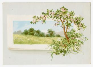 Colour trade card advertisement depicting a grassy nature scene and a cherry blossom tree. Ther ...