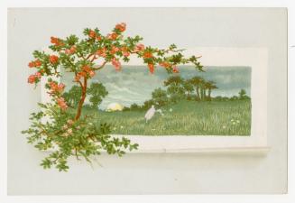 Colour trade card advertisement depicting a a nature scene of trees and a sun on the horizon. T ...