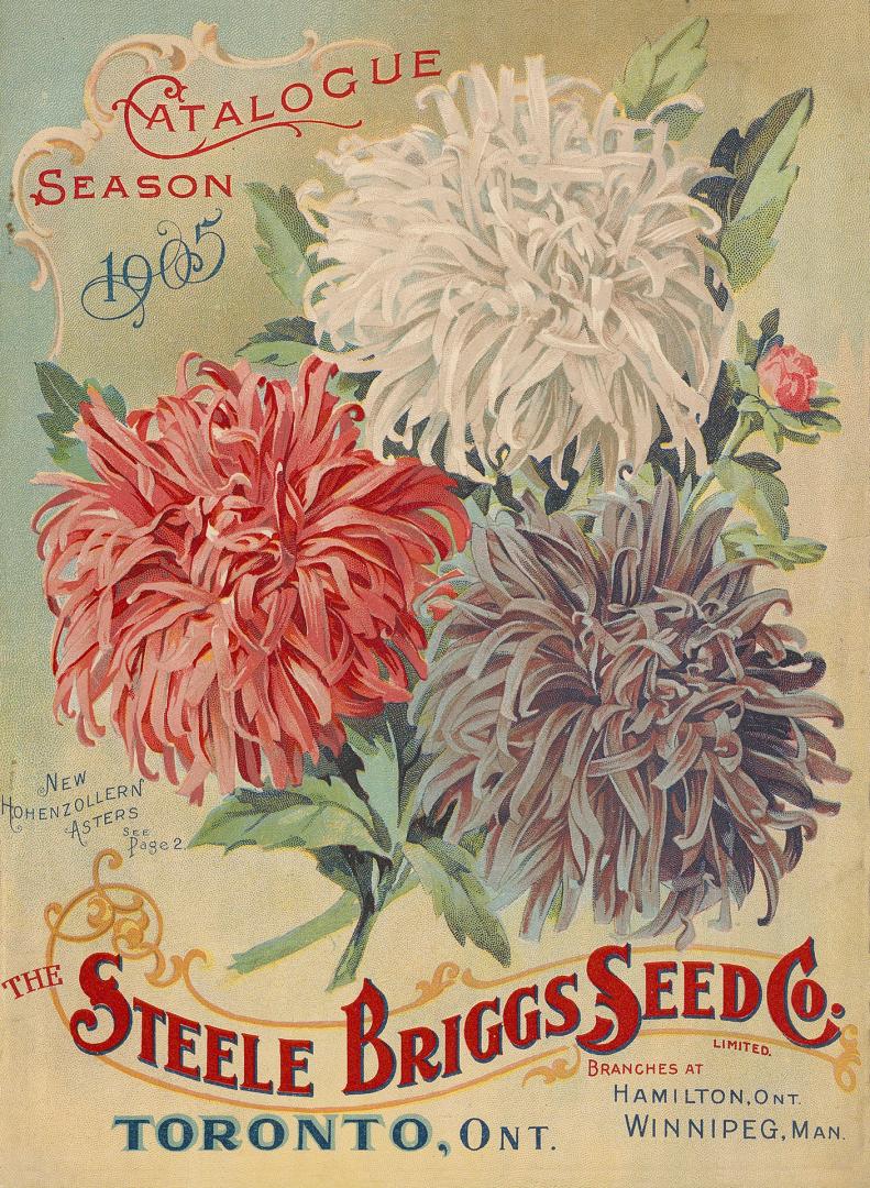 Illustration of three large flowers (Hohenzollern Asters) dominates cover with text in varied f ...