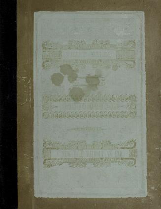 Brown book cover with white rectangle and gold text reading "Fairy birds from Fancy Islet a new ...