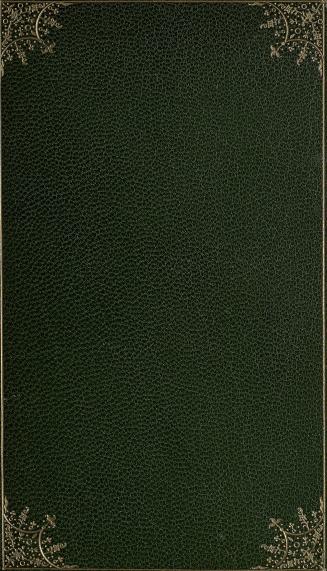 Book cover; green leather