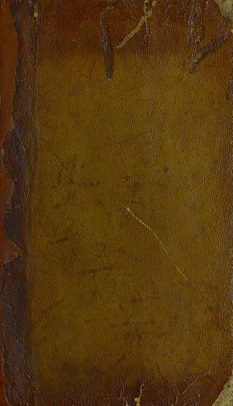Brown leather book cover, some discoloration, unadorned.