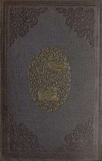 A gift from fairy land : tales and legends : one hundred fanciful embellishments