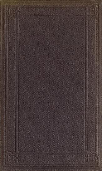 Book cover: Brown cover with embossed frame design.