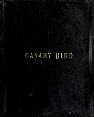 The canary bird : a tale for children