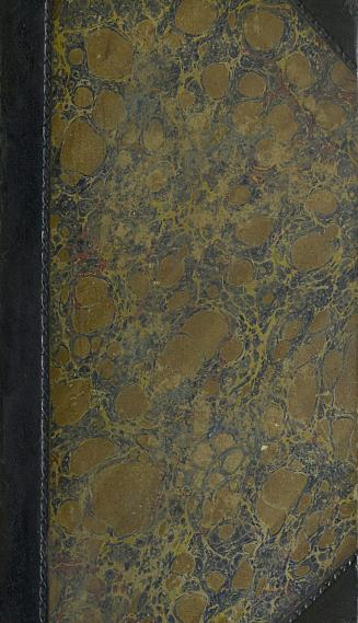 Book cover: Plain marbled paper.