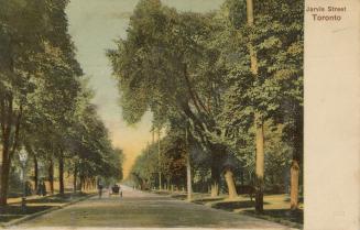 Colorized photograph of a city street bordered by large trees. People and carriages on the stre ...