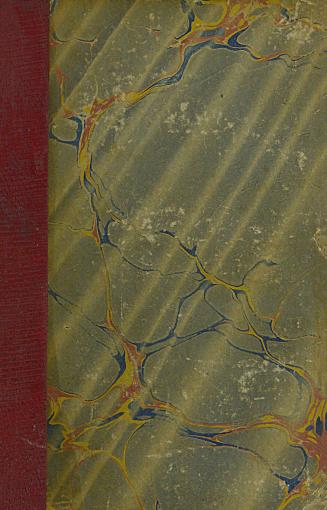 The welcome visitor, or, The good uncle : being a collection of original stories, containing several well-authenticated anecdotes, displaying striking traits of virtue and heroism in early life. 