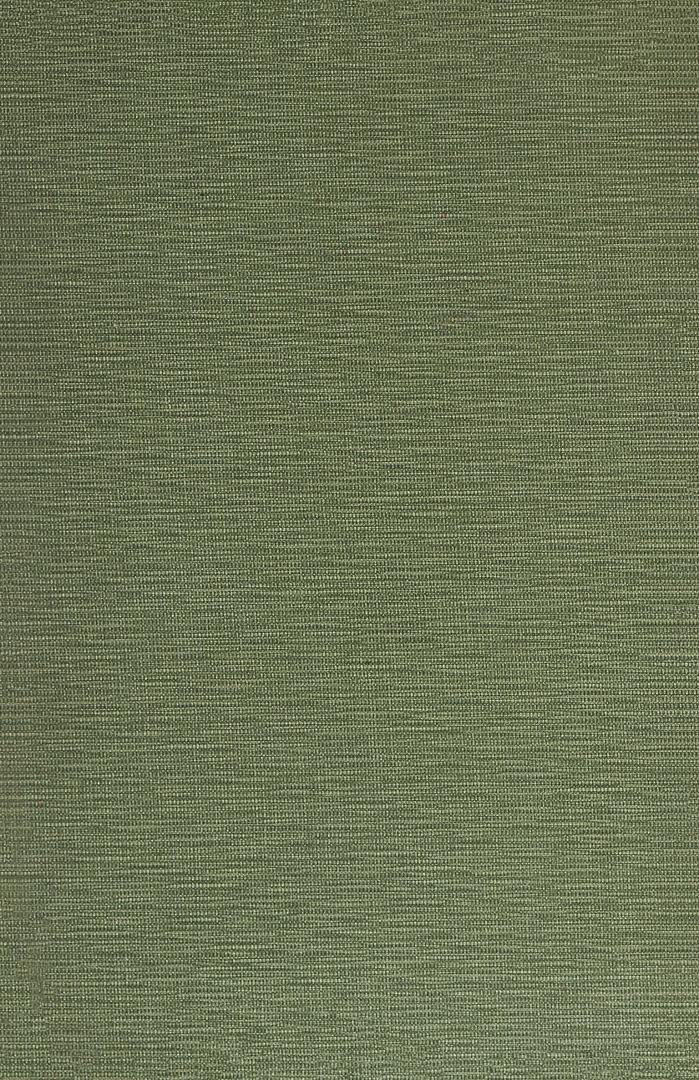 Book cover: green cloth.