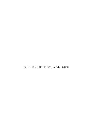 Relics of primeval life; beginning of life in the dawn of geological time