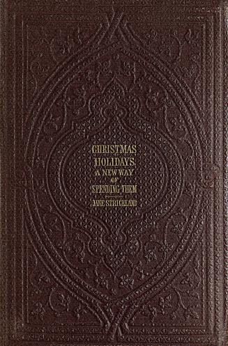 Christmas holidays, or, A new way of spending them 