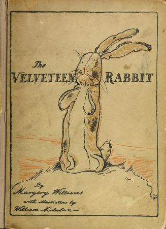 book cover with an image of a stuffed rabbit toy