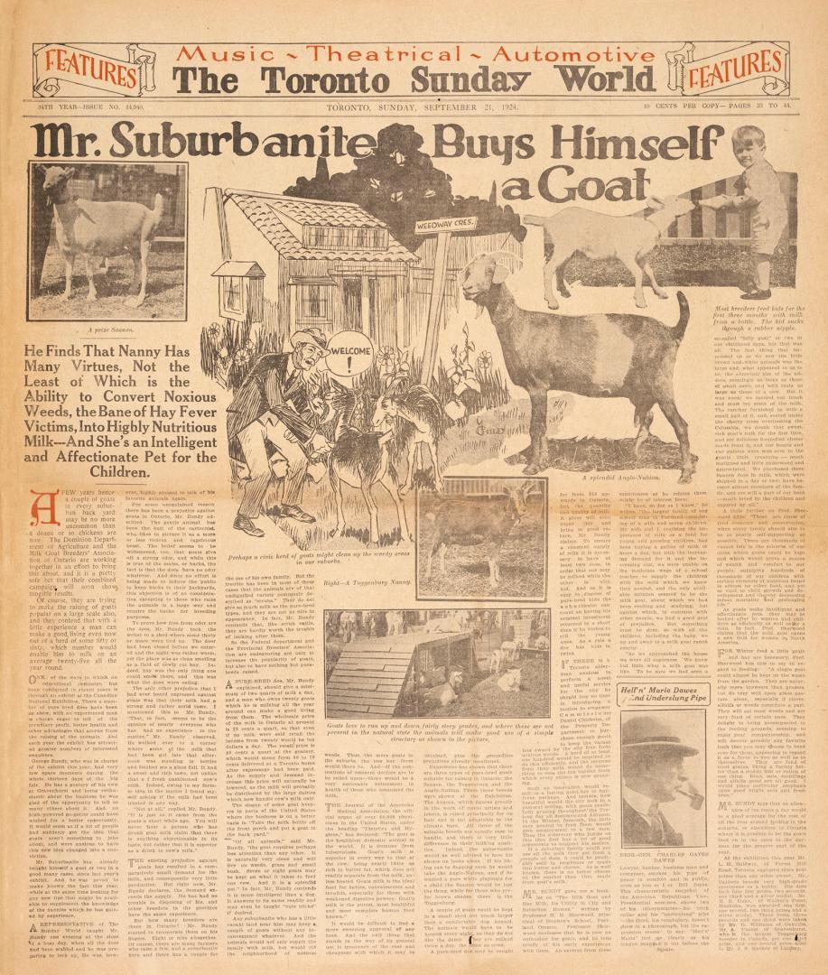 Sections of the Toronto Sunday World newspaper in black and white. 