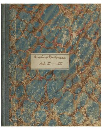 Cloth board covered, octavo, written in ink. The cover page with title on label affixed to cent ...